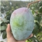 【诚成果】攀枝花凯特芒果整箱10斤中小果京东生鲜水装菲大青芒贵妃芒果（净重8.5-9斤） 9斤精选