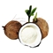 蔬果哆 新鲜水果  海南特产 发芽 老椰子 椰宝 椰子芯 两个装  单果约700g 两个装(免邮)
