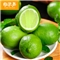 杨沃果 5斤海南青柠檬 水果新鲜当季 应季柠檬  酸甜爽口 泡茶佳品 坏果包赔 2斤/3斤青柠檬 5斤青柠檬