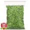 雀舌 茶叶绿茶新茶春茶 明前一级贵州雀舌茶毛尖毛峰湄潭翠芽雀舌袋装散装袋装250g