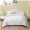新一代暖宝抗菌羊毛被(被芯1件)(适合1.2米床)【全涤抗菌磨毛防羽/白】