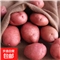 红皮土豆黄心土豆马铃薯4斤