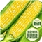 云南水果玉米5斤 鲜甜玉米棒