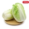 山东精品大白菜 净重4斤起 1-2颗