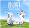 君乐宝遇见奶牛全脂纯牛奶200mL*24盒